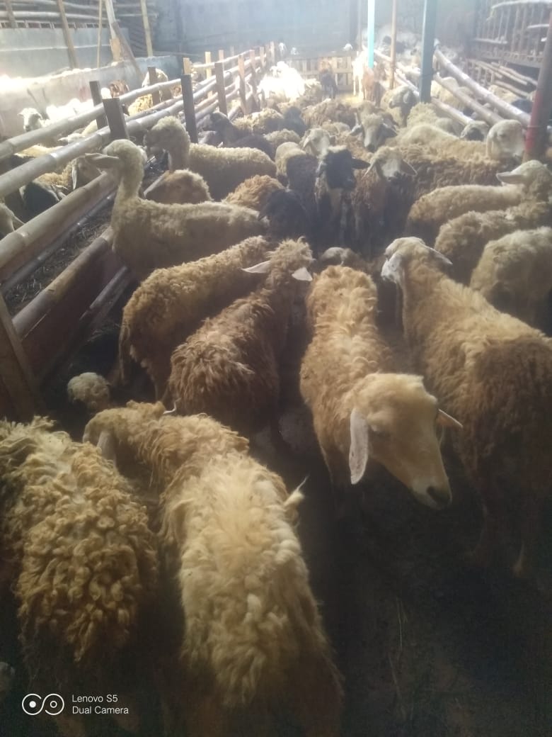 5101834d-b913-4f79-a80a-73ff5b80403e