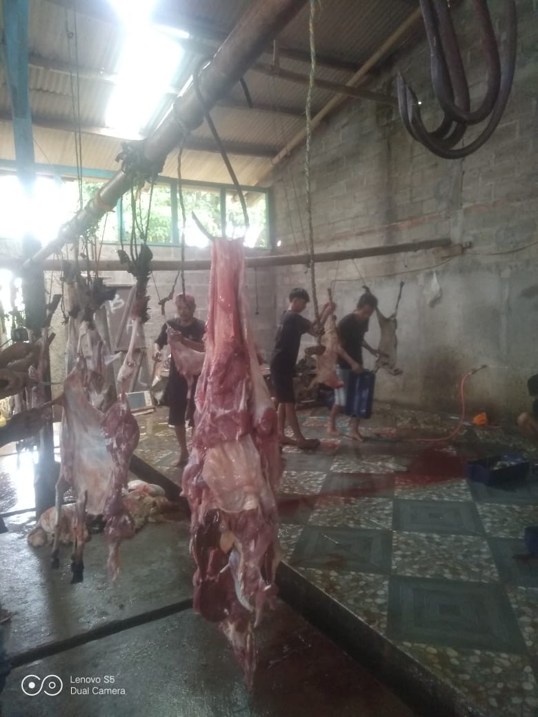 b80595a0-cad5-4f67-9fdf-457c487ee743